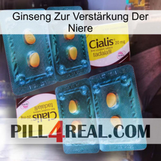 Ginseng Zur Verstärkung Der Niere cialis5